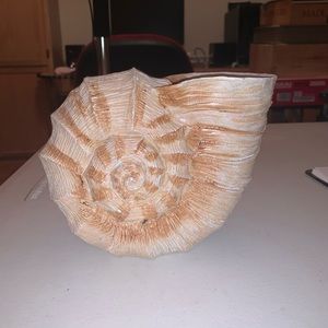 NEW NEVER USED Realistic Shell Vase